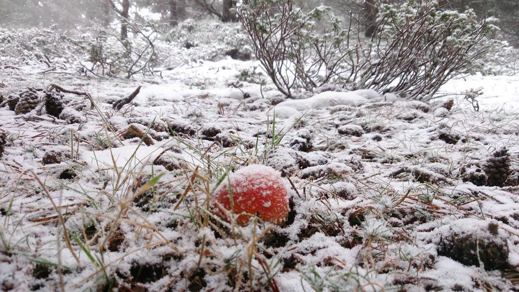 La Hosteria De Castroviejo Duruelo de la Sierra Eksteriør bilde